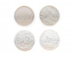 Filler Powders